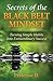 Secrets of the Black Belt M...