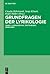 Grundfragen der Lyrikologie...
