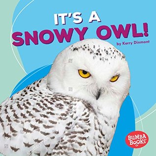 It's a Snowy Owl! (Bumba Books ® — Polar Animals)