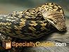 Amethystine Python Care Guide Amethystine Python Care Guide