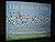 Birds of Islay: A Celebrati...