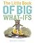 The Little Book of Big What-Ifs