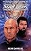 Into the Nebula (Star Trek:...