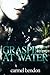 Grasping at Water by Carmel Bendon