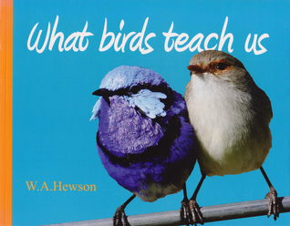 What Birds Teach Us (Paperback)