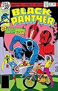 Black Panther #14