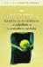 La reina que dio calabazas al caballero de la armadura oxidada (DIVULGACIÓN) (Spanish Edition)