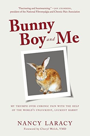 Bunny Boy and Me: My Triumph over Chronic Pain with the Help of the World's Unluckiest, Luckiest Rabbit (Kindle Edition)