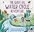 The Great Big Water Cycle Adventure (Look & Wonder)