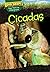 Cicadas (Dig Deep! Bugs That Live Underground)