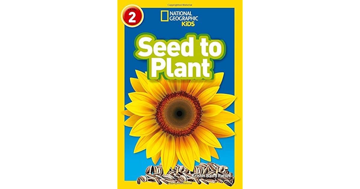 Seed To Plant By Nill