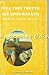 Cele trei trepte ale singurătății: Meditații literare și filosofice (Colecția Texte de frontieră) (Romanian Edition)