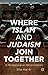 Where Islam and Judaism Join Together: A Perspective on Reconciliation