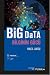 Big Data: Bilginin Gücü