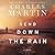 Send Down the Rain by Charles Martin