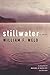 Stillwater: A Novel