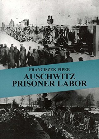 Auschwitz Prison Labor (Paperback)