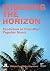 Widening the Horizon: Exoticism in Post-War Popular Music (Distributed for John Libbey & Co., Ltd)