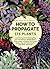 How to Propagate 375 Plants...