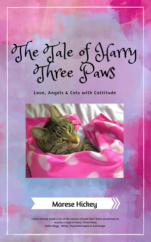 The Tale of Harry Three Paws: The true story of cat that lost a leg and became a Community Cat