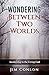 Wondering Between Two World...