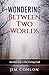 Wondering Between Two Worlds by Jim Conlon