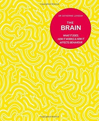 The Brain: What It Does, How It Works and How It Affects Behaviour