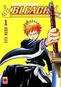 Bleach, vol. 1