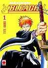 Bleach, vol. 1