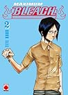 Maximum Bleach #2 (Maximum Bleach #2)
