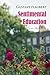 Sentimental Education by Gustave Flaubert