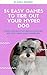 24 easy games to tire out your hyper dog by Karly Edwards