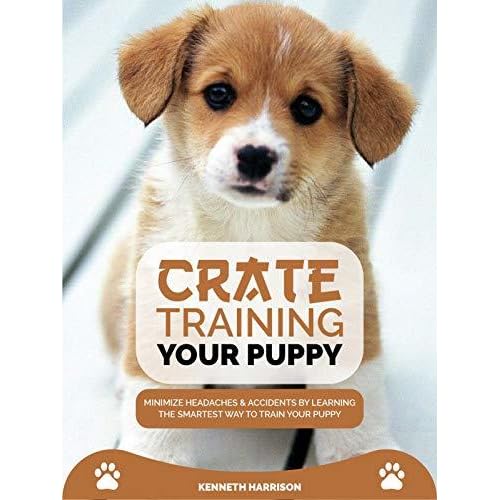 puppy accident in crate