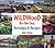 Wildwood By-the-Sea by Anita S. Hirsch