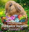 The Easter Surprise by Jennifer Churchman