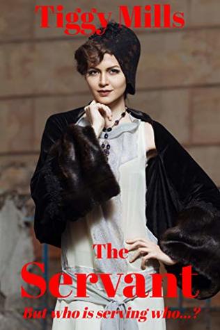 The Servant: But who is serving who...? (Kindle Edition)