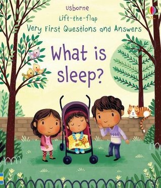 Very First Questions and Answers: What is sleep? (Usborne Lift-the-Flap)