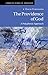 The Providence of God: A Polyphonic Approach (Current Issues in Theology Book 11)