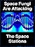Space Fungi Are Attacking the Space Stations by Rhawn Gabriel Joseph