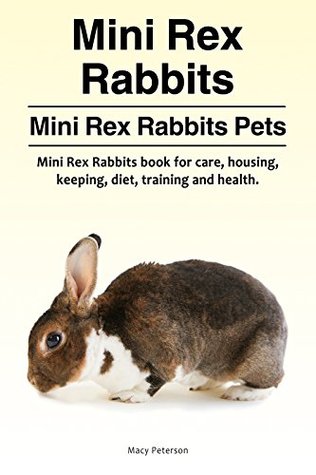 mini rex care