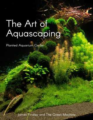 The Art of Aquascaping