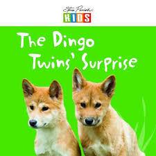 The Dingo Twins' Surprise