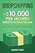 Dropshipping The $10,000 per Month Guide to Passive Income,: Make Money Online with Shopify, E-Commerce, Amazon FBA, Affiliate Marketing, Blogging, eBay, Instagram, and Facebook Advertising