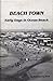 Beach Town: Early Days in O...