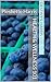Health & Wellness 101 by Destiny S. Harris