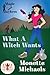 What a Witch Wants: Magic and Mayhem Universe (What a Witch #1)