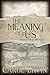 The Meaning of Us by Carol Ervin