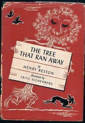 The Tree That Ran Away (Hardcover)