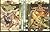 Chronicles of Narnia Boxed Set by C.S. Lewis