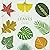 The Little Guide to Leaves